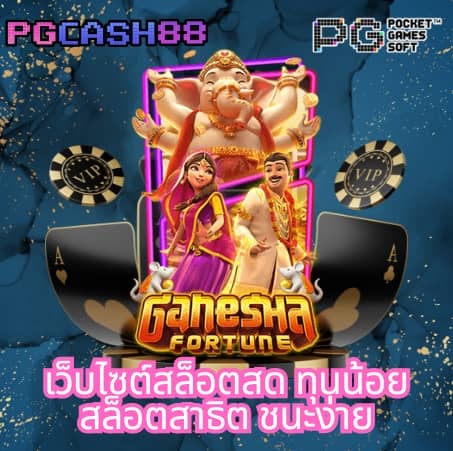 15รับ100 wallet
